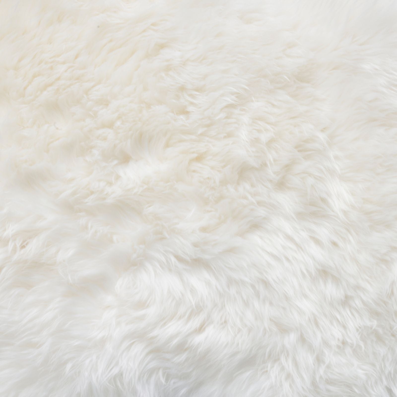 Bowron Sheepskins Longwool Octuple Sheepskin Rug Gold Star Ivory