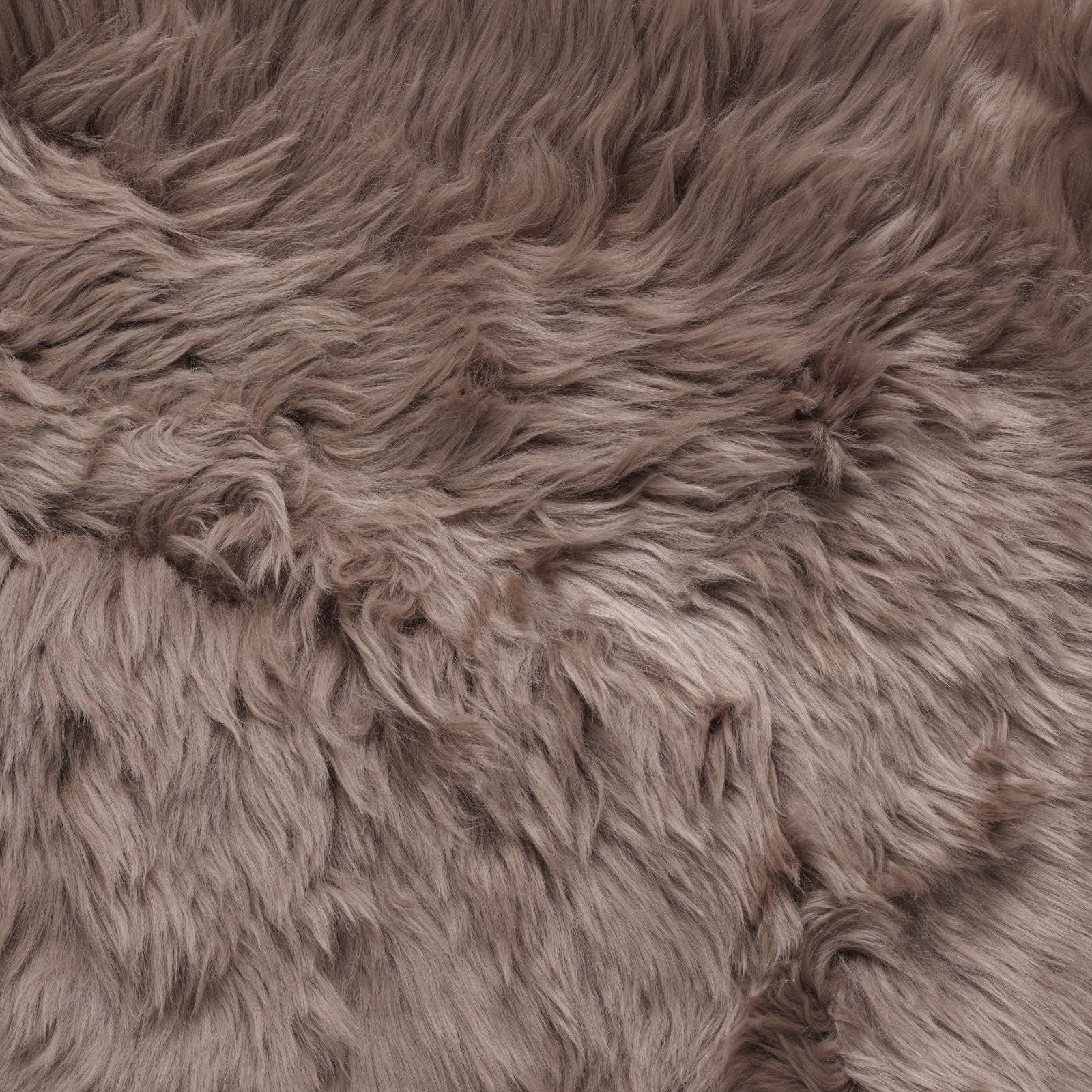 Bowron Sheepskins Longwool Quadruple Sheepskin Rug Gold Star Paco Brown