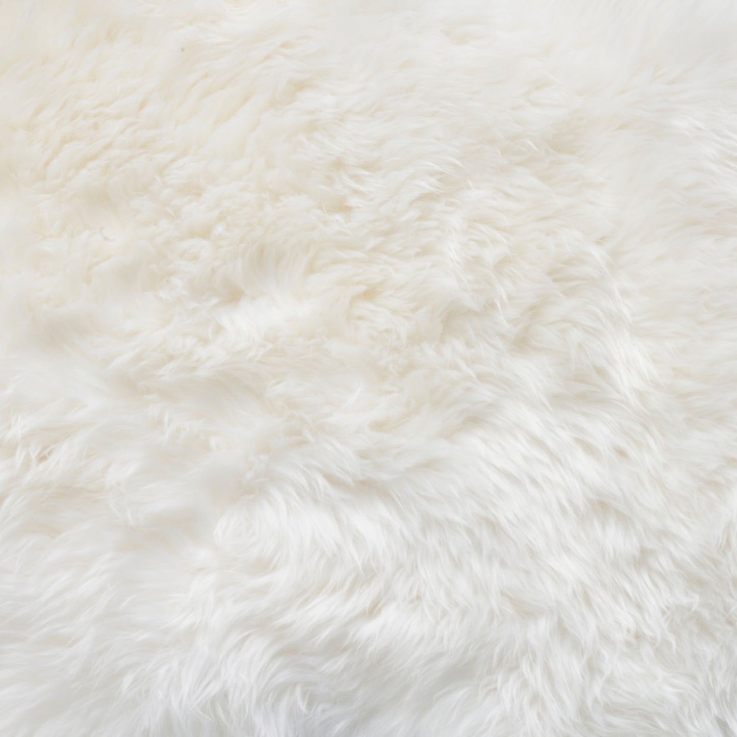 Bowron Sheepskins Longwool Sextuple Sheepskin Rug Gold Star Ivory